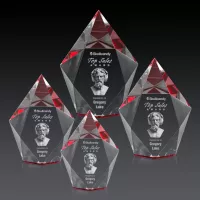 Devron 3D Award - Red