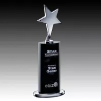 Mendocino Award