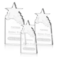 Augustine Award