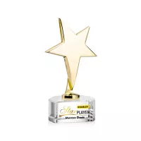 Tuscany Gold Star VividPrint™ Award on Paragon Base - Clear