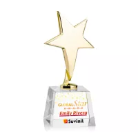 Tuscany Gold Star VividPrint™ Award on Robson Base - Clear