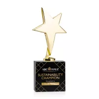 Tuscany Gold Star VividPrint™ Award on Woodlawn Base - Black