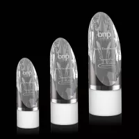 Faccini Award