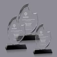 Waldorf Award