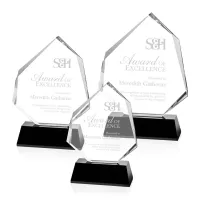 Warner Award - Black