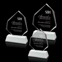 Warner Award - White
