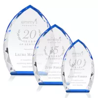 Wilton Award - Blue
