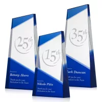 Amstel Award - Blue