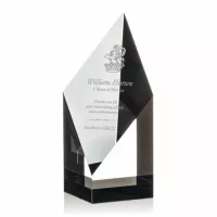 Vertex Award - Black
