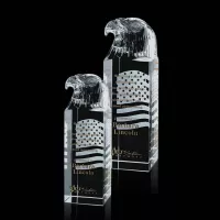Stratton Eagle Award