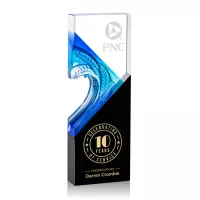 Baywell Award - Black