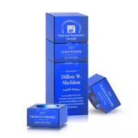 Tofino Stacker Award - Blue