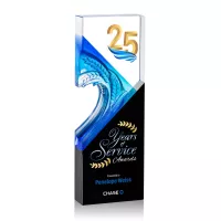 Baywell VividPrint™ Award - Black