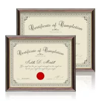Ellison Certificate Frame - Black/Gold