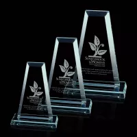Regency Tower Award - Jade