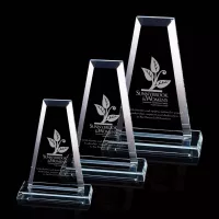 Regency Tower Award - Starfire