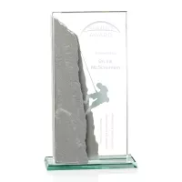 Challenge Award