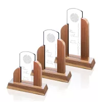 Art Deco Tower Award - Starfire