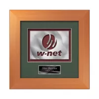 Premier Aquashape™ Award - Bronze
