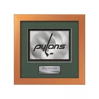 Eldridge Aquashape™ Award - Bronze