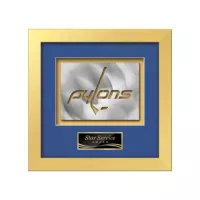 Eldridge Aquashape™ Award - Gold