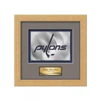 Eldridge Aquashape™ Award - Antique Gold