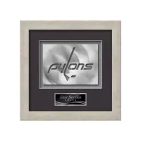 Eldridge Aquashape™ Award - Antique Silver