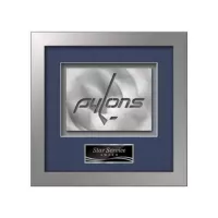 Eldridge Aquashape™ Award - Silver