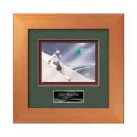 Premier - Bronze