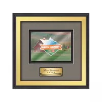Jasper - Gold