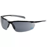 Bouton Commander Gray Glasses
