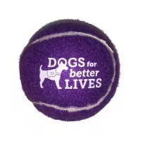 Pet Fetch Toy Tennis Ball
