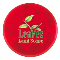 Round Credit Card Mints