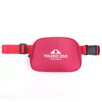 Everywhere Belt Bag / Fanny Pack