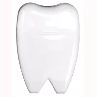 Tooth Shaped Dental Floss