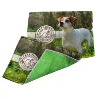 Dual Sided Microfiber/Terry Cloth