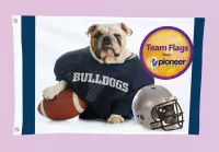 2-ft. H x 3-ft. W Team Flag (DOUBLE SIDED)