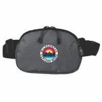 Everywhere Belt Bag RPET