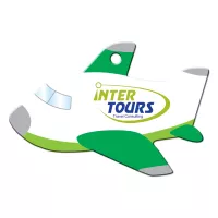 Green Plane Shaped Luggage Tag