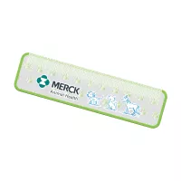 5D Rulers 6"
