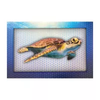 5D Signage 7.5" x 10"