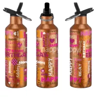 20 oz. Double Wall Stainless Steel Bottle with Leakproof Spout, Straw and Carry Handle
