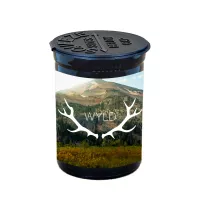 7 gram Squeeze top Child-resistant Vial / Container