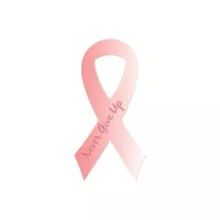 Ribbon Shaped Car Magnet