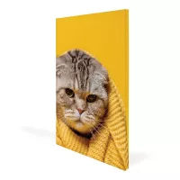 16x20 in. Canvas Frame (Graphic Package)