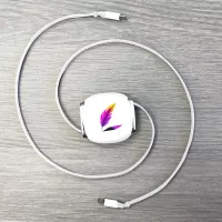 Retractable Type-C to Type-C 100W Cable