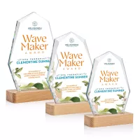 Andale VividPrint™ Award