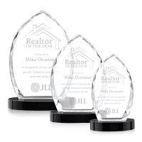 Wilton Award on Alberton Base - Black
