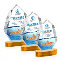 Norwood VividPrint™ Award on Alberton Base - Amber