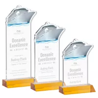 Voyager Award - Amber